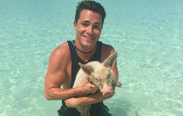 Colton Haynes swimming with pigs