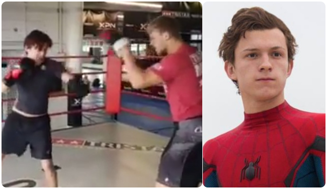 Tom Holland boxing